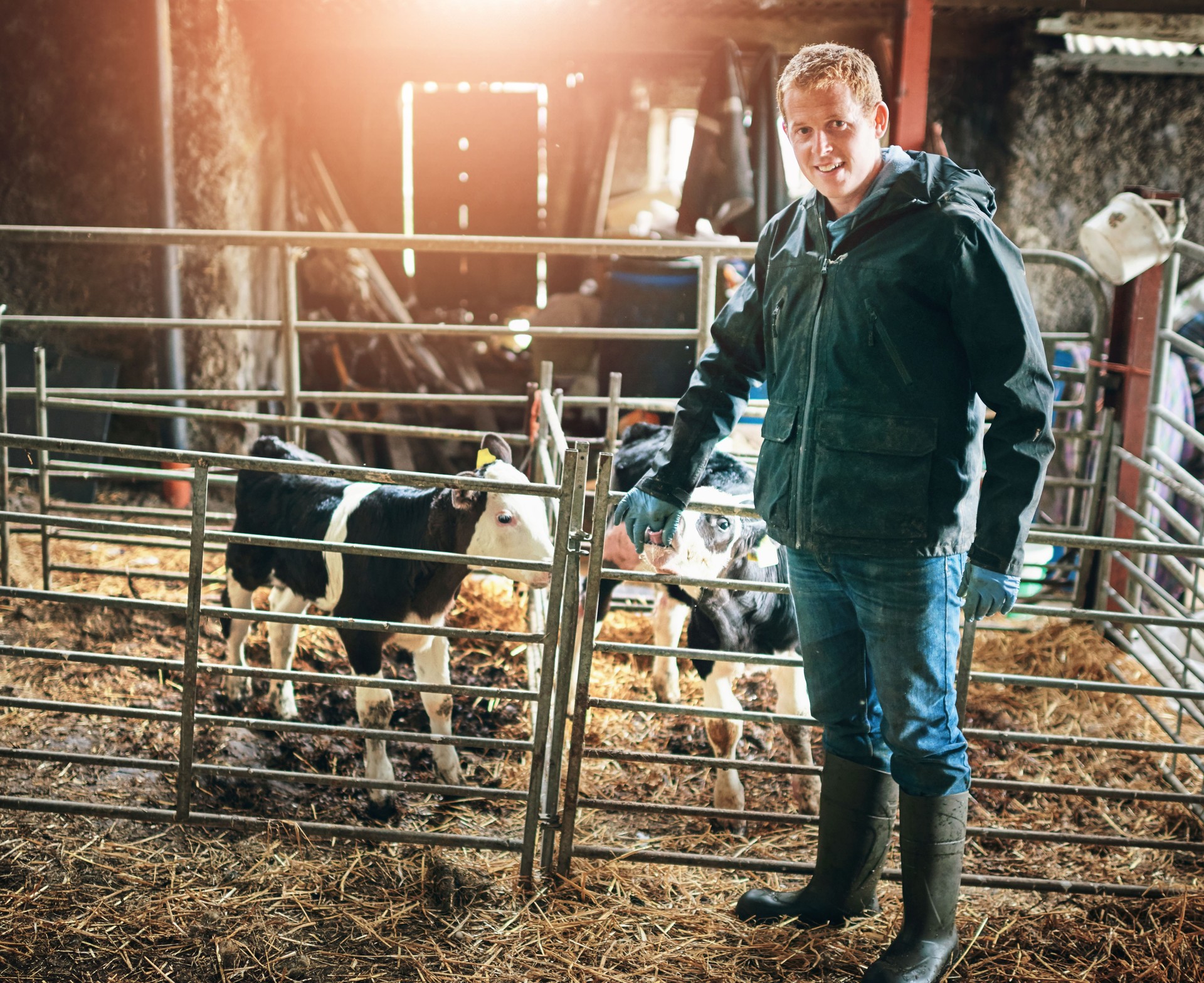 Farm, agriculture and man with cows, nature and grass for sustainable farming, inspection and countryside. Farmer, guy and portrait with cattle for beef production, livestock or animal health